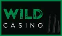 Wild Casino brand logo